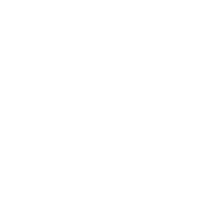 logo mercury-02